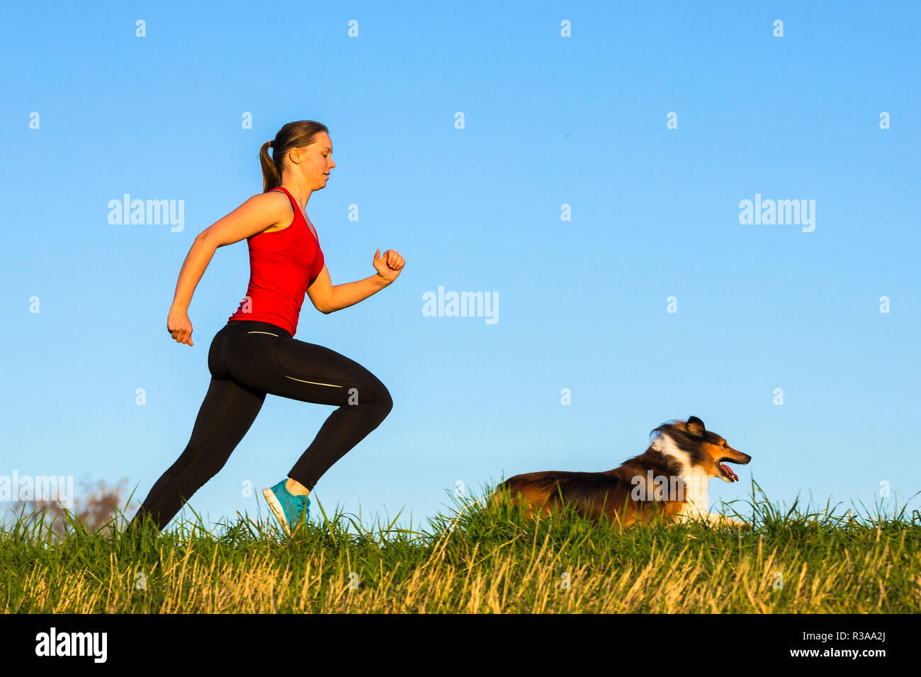 Correr con perro Foto de stock