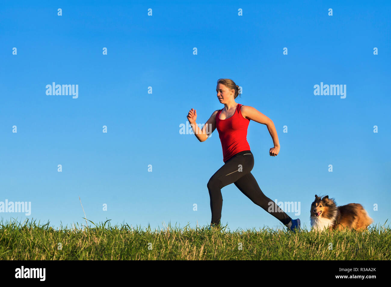 Correr con perro Foto de stock