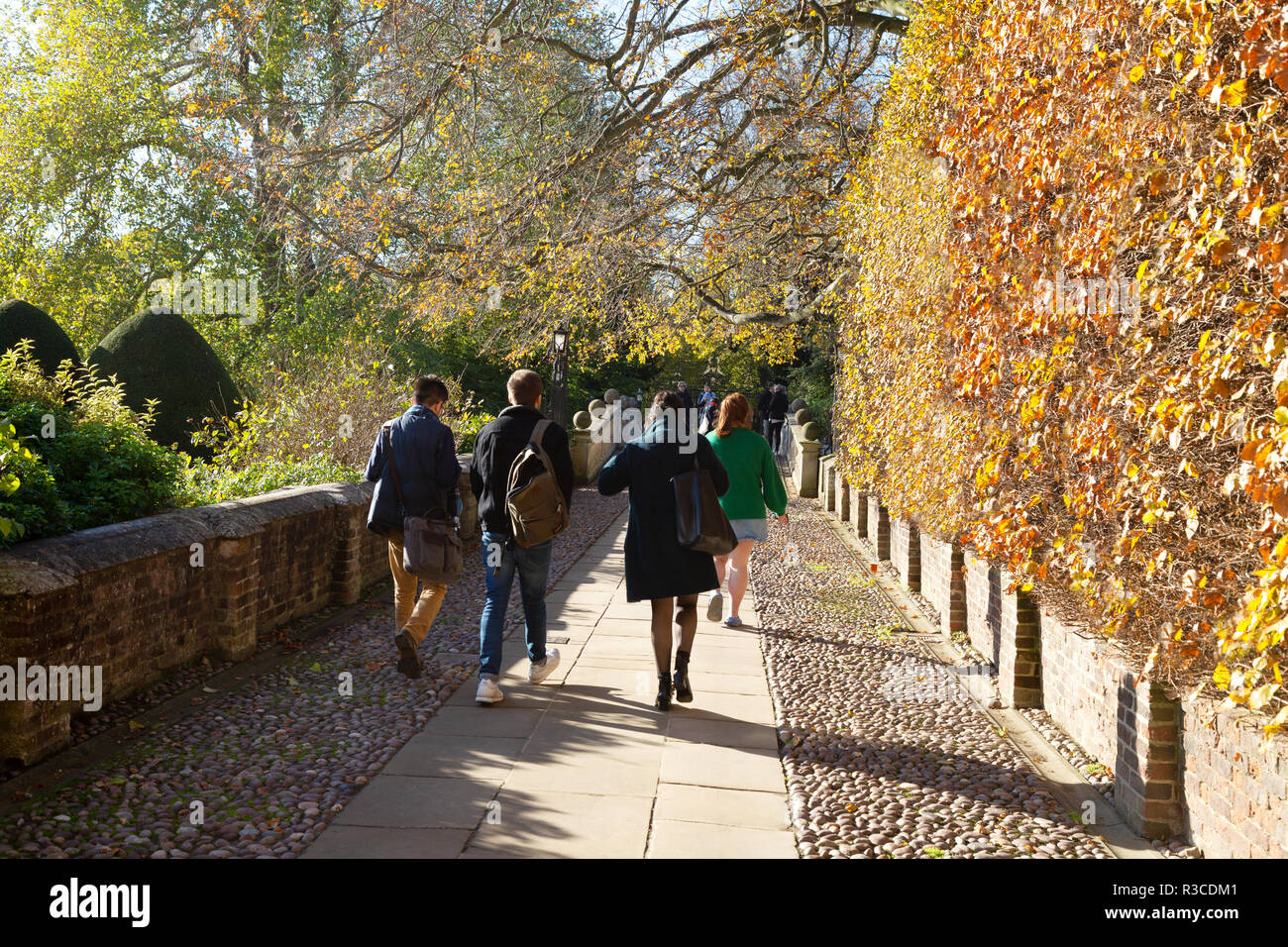 Los estudiantes de la Universidad de Cambridge en otoño - estudiantes caminando en Clare College Cambridge en otoño, la Universidad de Cambridge, Cambridge, Inglaterra Foto de stock