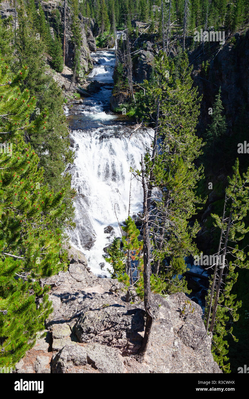 Kepler Cascades es una cascada en el río Firehole en el suroeste el Parque Nacional de Yellowstone, en Estados Unidos. Las cascadas se encuentran a unos 4 km (2,6 millas) Foto de stock