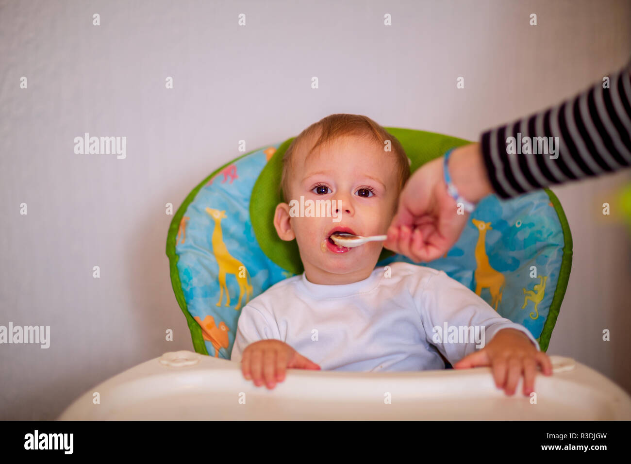 Alegre bebé niño come alimentos con cuchara Foto de stock