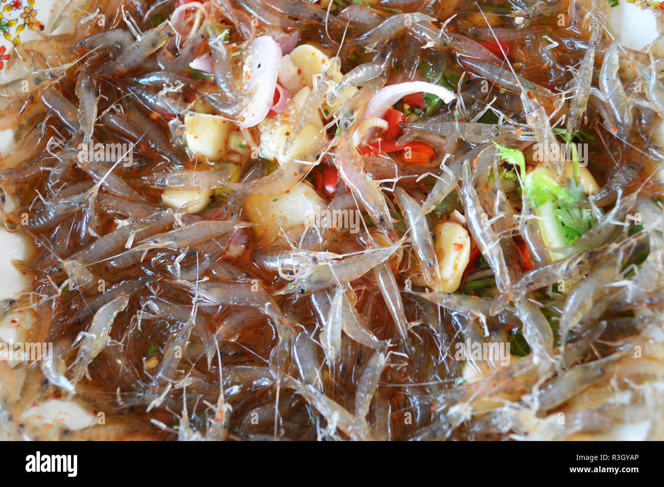 Come Camarones De Agua Dulce Fotos e Imágenes de stock Alamy