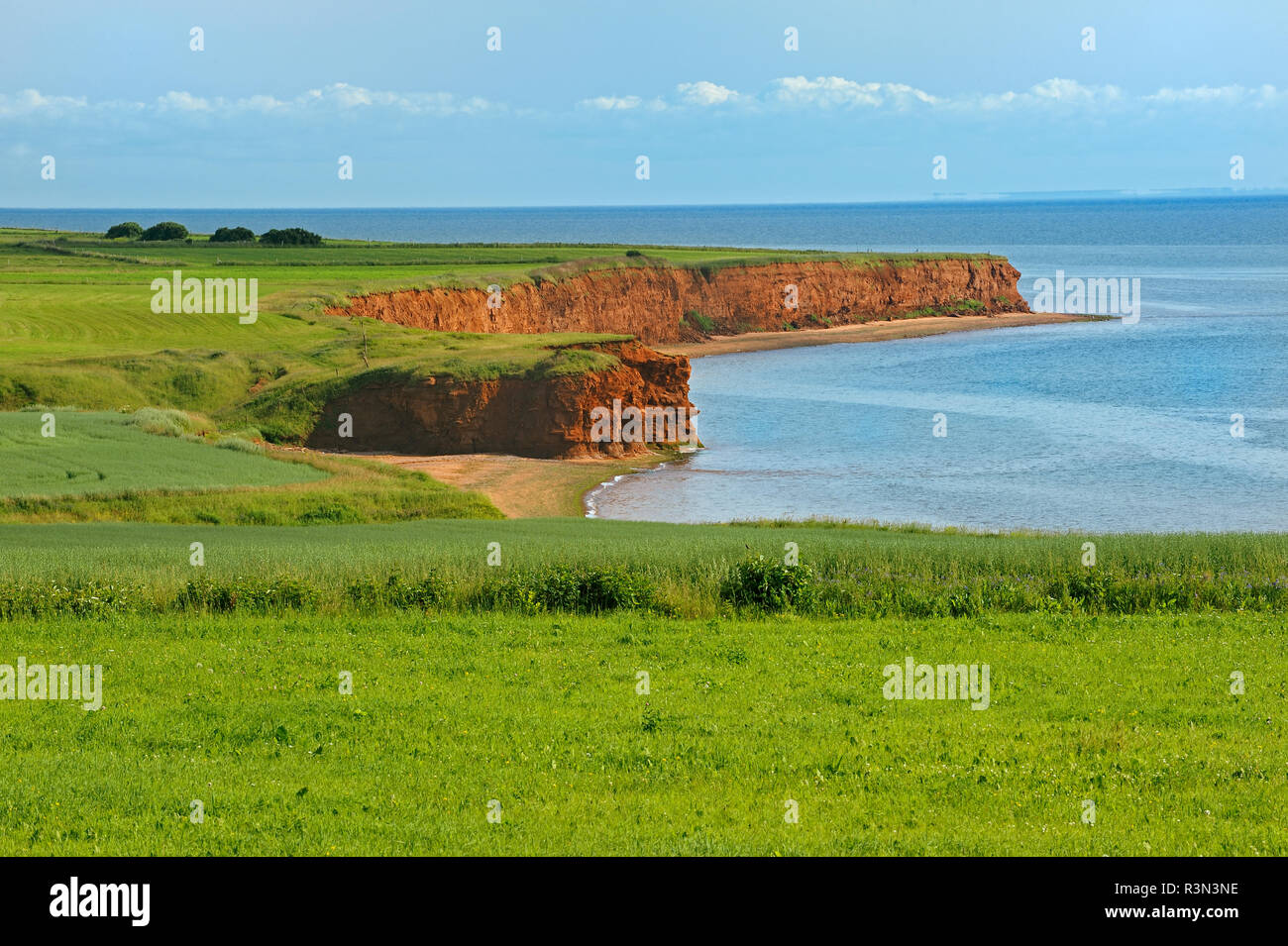 bolígrafo Calor toque Canadá, la Isla del Príncipe Eduardo. Acantilados del litoral por el  estrecho de Northumberland Fotografía de stock - Alamy