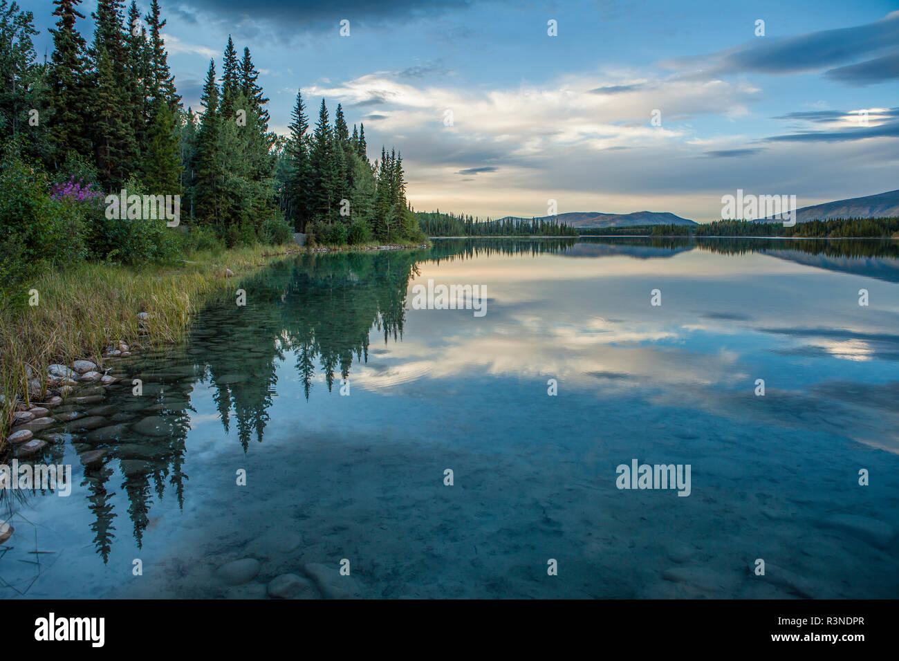 Canadá, Columbia Británica, Boya Lake Provincial Park. Shoreline reflexión Foto de stock