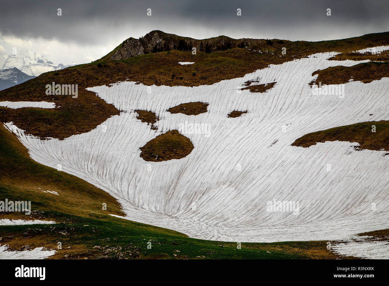 En el Puerto Gurnigel de Suiza se observan manchas de nieve blanca. Los glaciares de los Alpes se están derritiendo rápidamente debido al calentamiento global, y se prevé que muchos de ellos desapararán en 2070. La cubierta de nieve blanca refleja la luz del sol y el calor mucho mejor que el hielo más oscuro. En el invierno de 2017/2018 se registraron cantidades récord de nieve en los alpes, pero las temperaturas récord en el verano ya se derritieron la mayor parte de ella en junio. Foto de stock