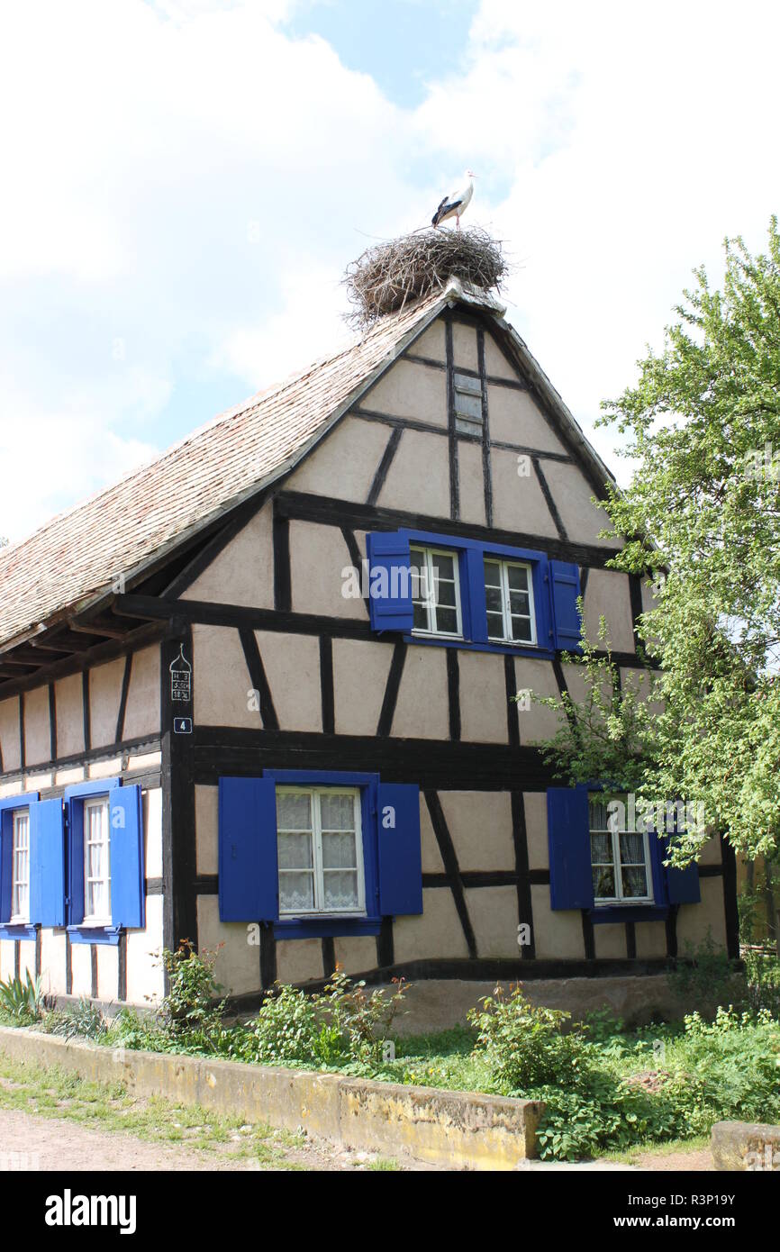 Marco histórico casa con nido de cigüeña en el tejado. Alsacia, Francia. Foto de stock