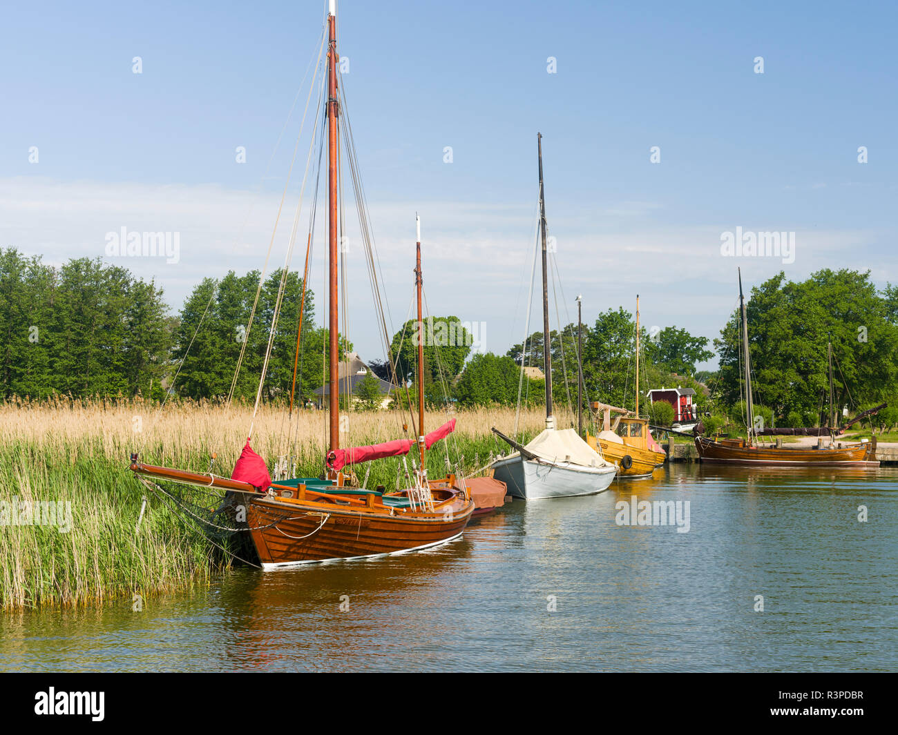 El viejo puerto de Wieck en el Bodstedter Bodden cerca de la zona de la Laguna de Pomerania Occidental. Alemania Foto de stock