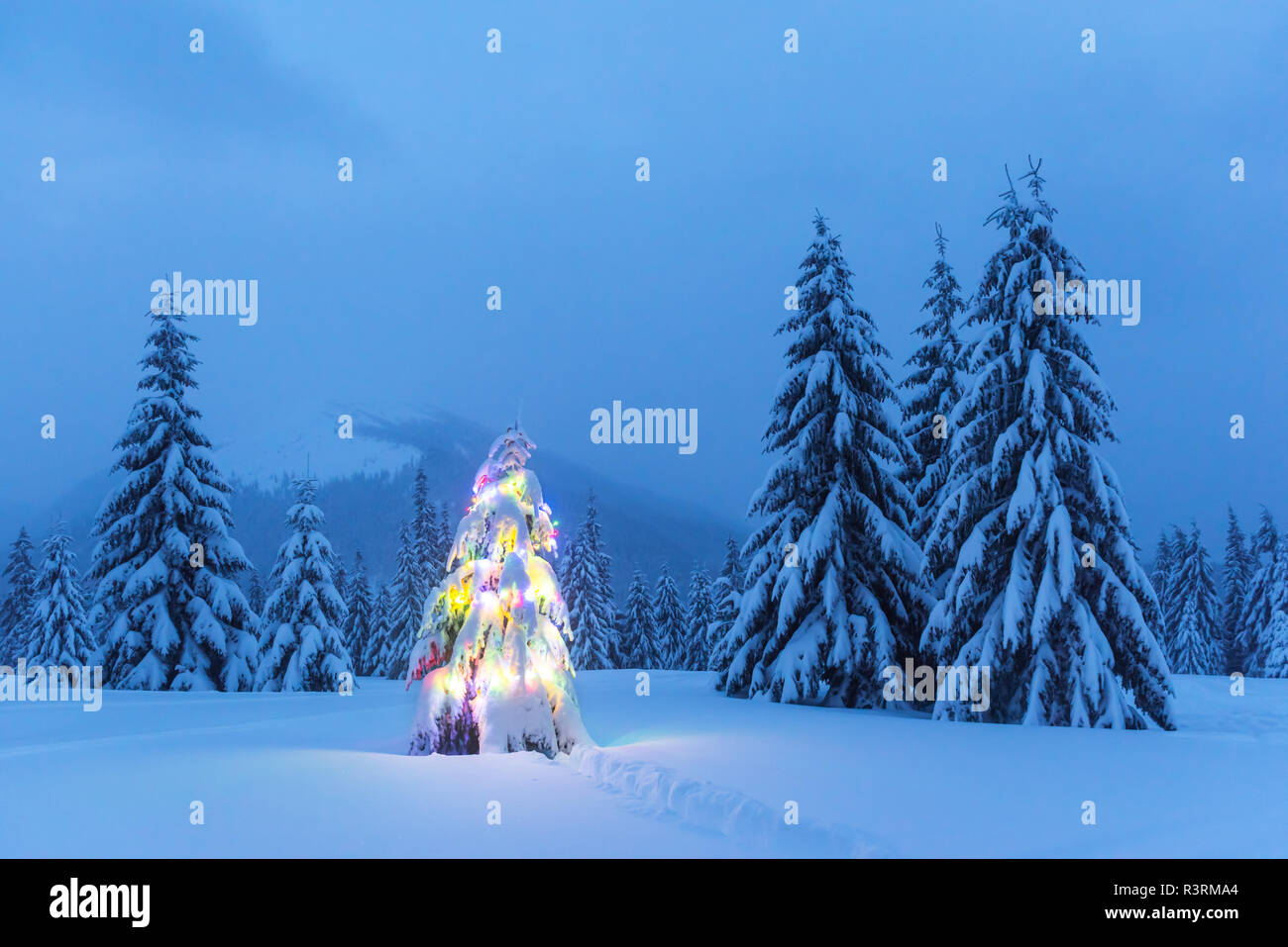 Holiday paisaje con árbol de Navidad, la nieve y las luces en montañas en invierno. Celebración del Año Nuevo concepto Foto de stock
