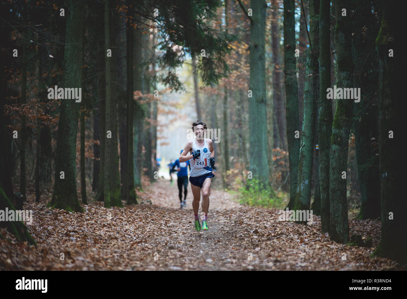 República Checa, Pilsen, noviembre de 2018: Hannah Pilsen Krkavec Trail. Joven corriendo rápidamente en camino en bosque otoñal. Foto de stock