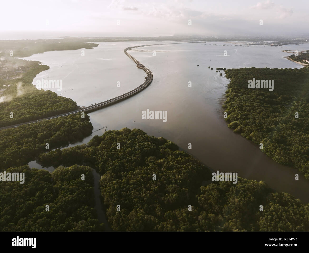 Indonesia, Bali, vista aérea de una carretera que atraviesa el bosque de manglares en la costa Foto de stock