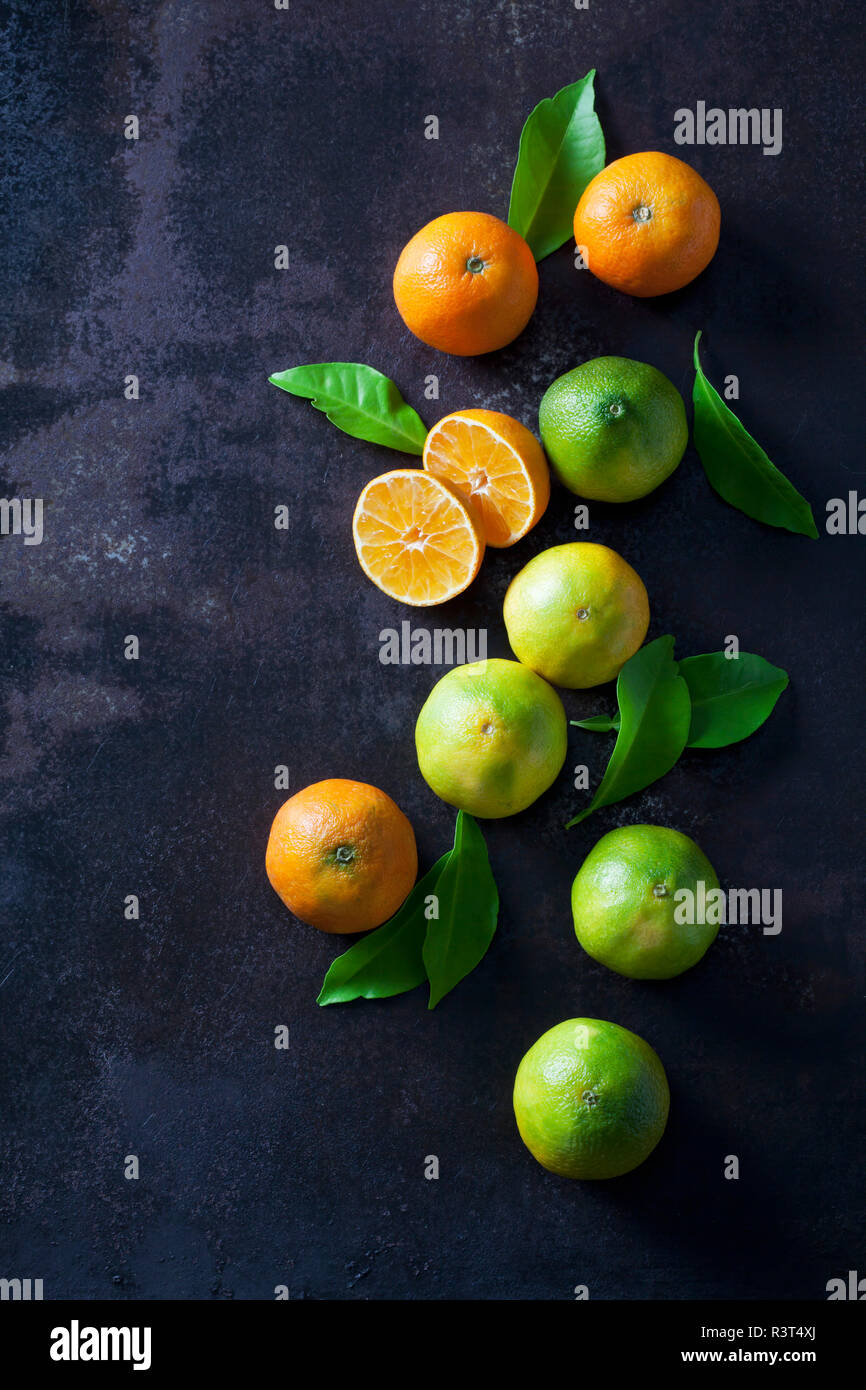 Mandarinas y limones orgánicos sobre fondo oscuro Foto de stock