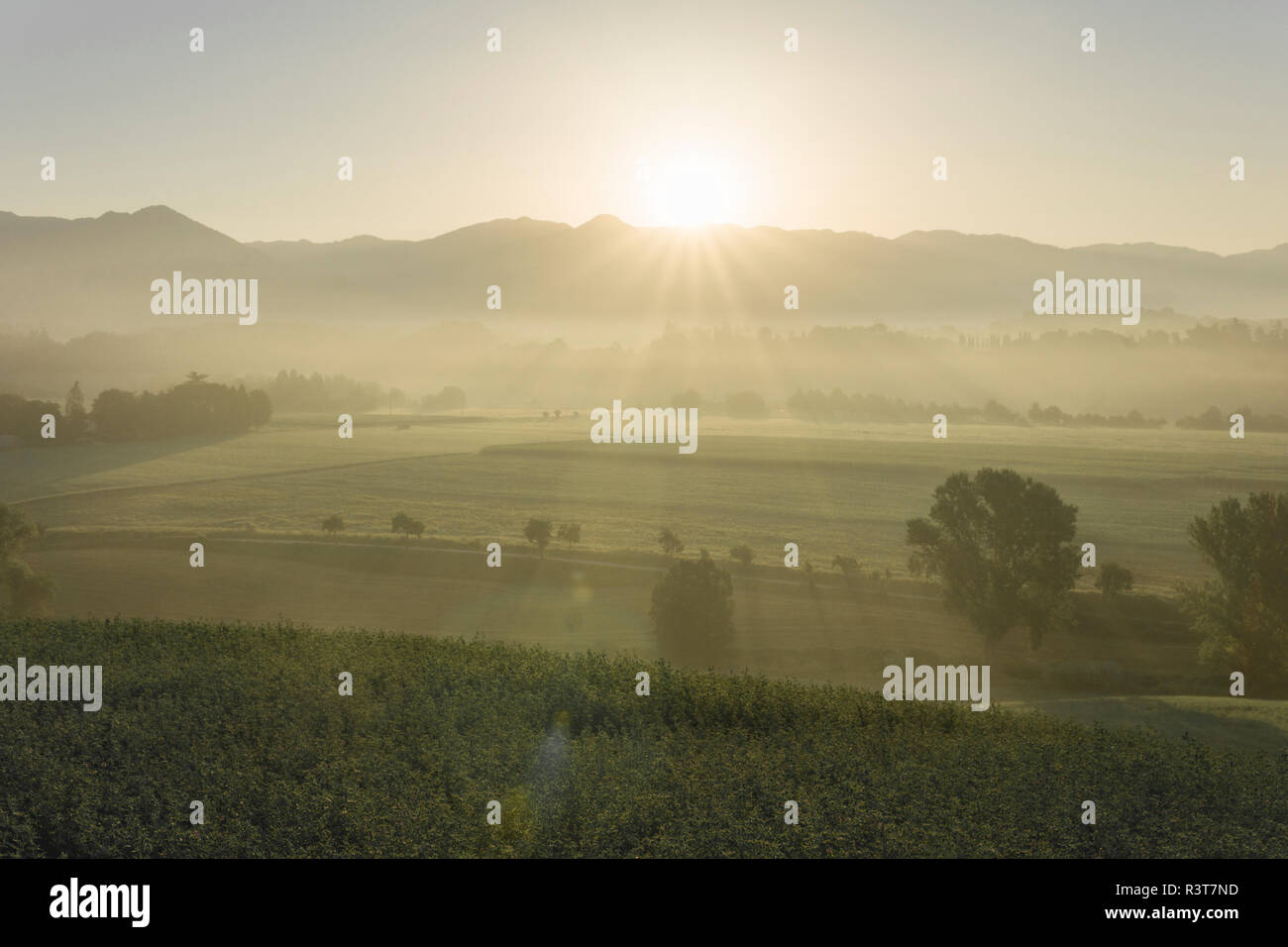 Italia, Toscana, Borgo San Lorenzo, amanecer sobre paisaje rural Foto de stock