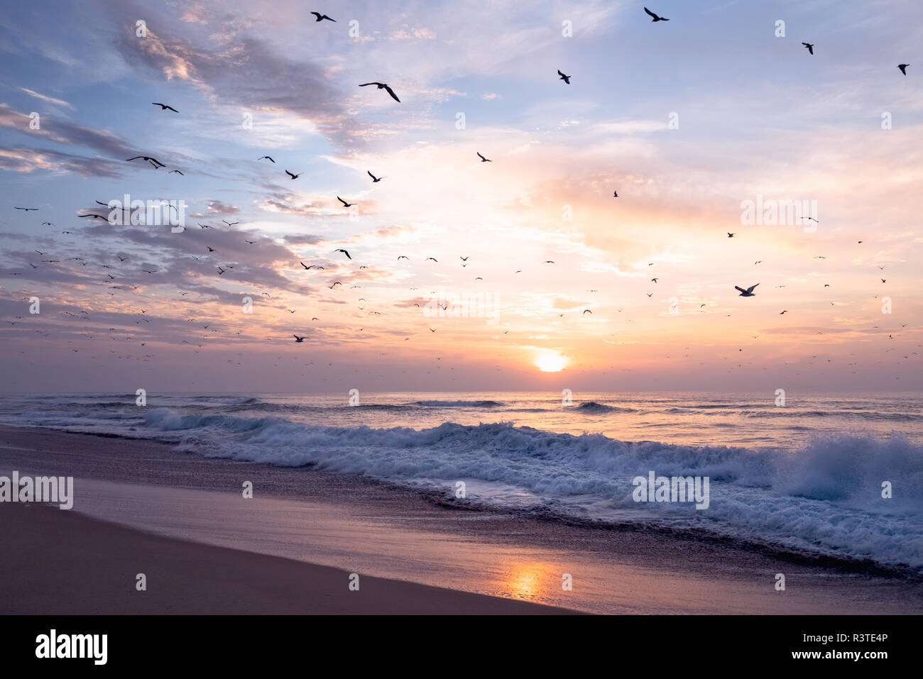 Atardecer en la playa, el hermoso paisaje con las olas del océano, la bandada de pájaros coloridos y cielo, Costa Californiana. Foto de stock