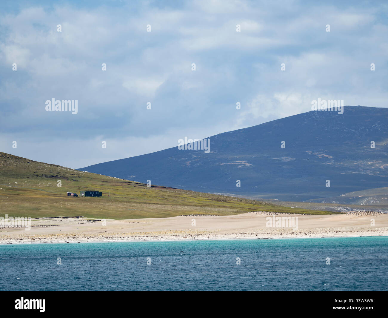 Islas Falkland Occidental visto desde el mar. La Isla Saunders y el cuello. América del Sur, Islas Malvinas Foto de stock