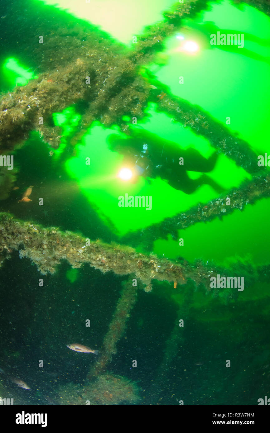 Scuba Diver, Estado de California wreck, carguero, sureste de Alaska, en el interior del conducto (MR) Foto de stock