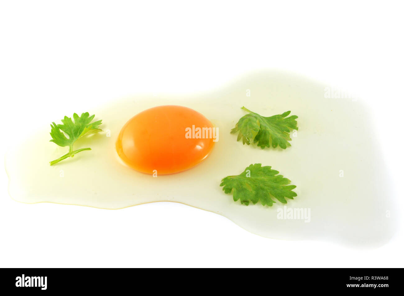 Las yemas de huevo fresco / huevo crudo rompe batir cocinar alimentos aislado sobre fondo blanco - crack con yemas de huevos de pollo con cilantro Foto de stock