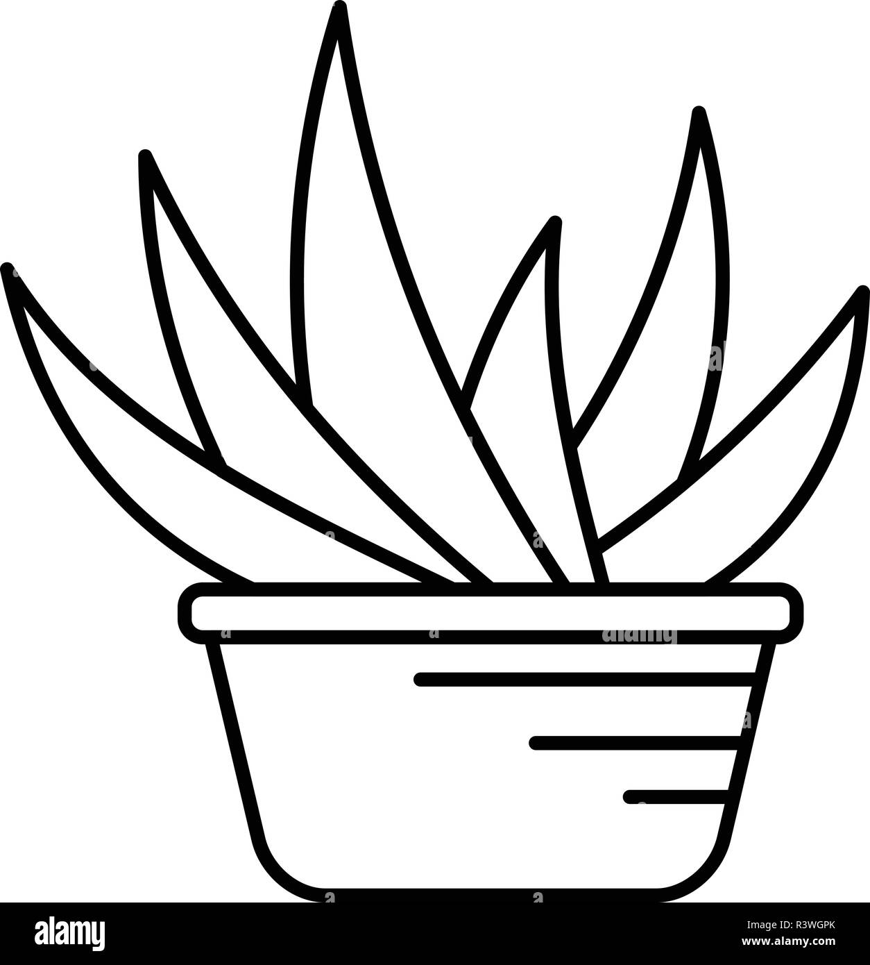 Aloe vera pot icono. Ilustración de esquema de aloe vera pot icono  vectoriales para diseño web aislado sobre fondo blanco Imagen Vector de  stock - Alamy