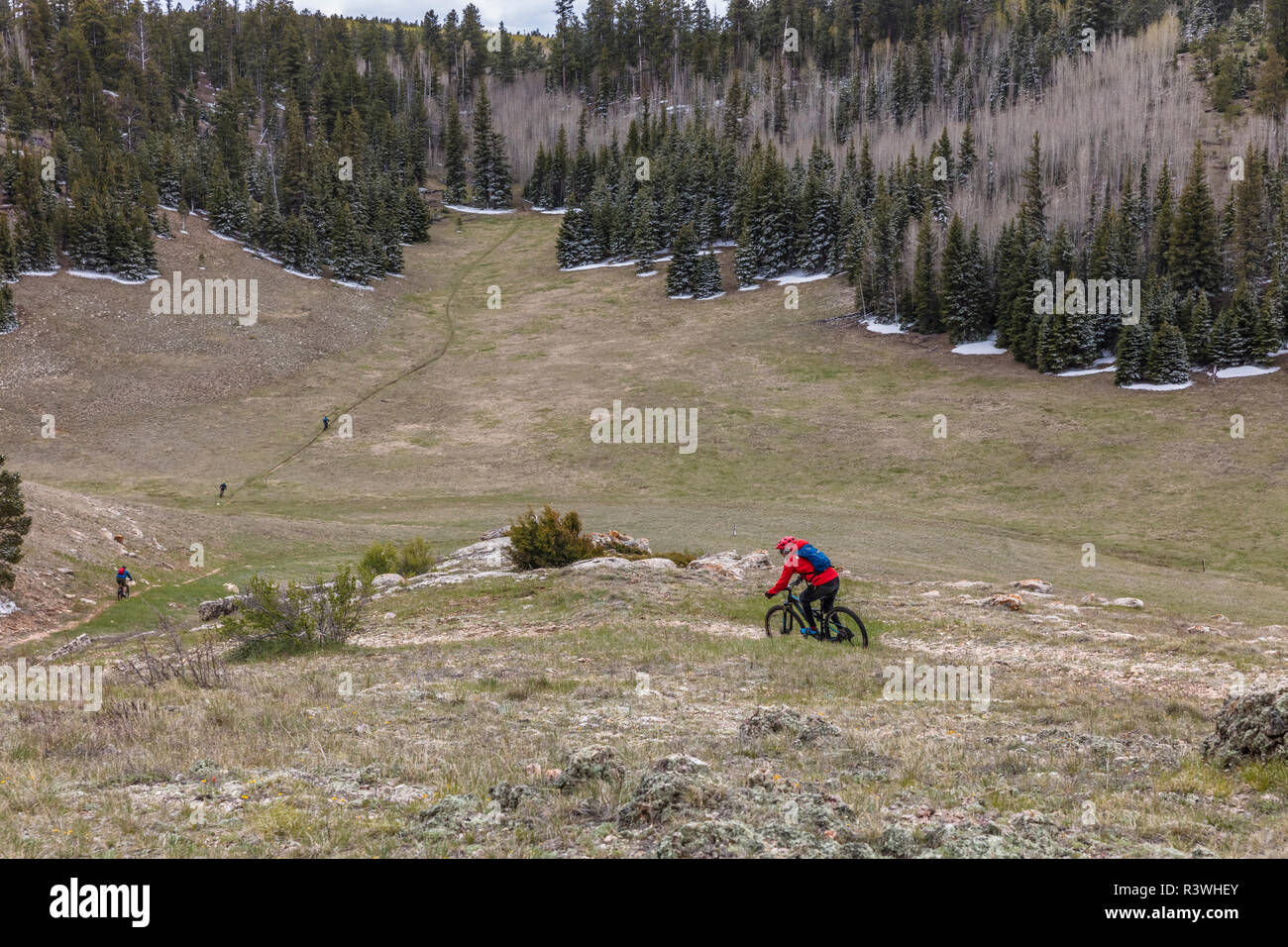 Ciclismo de montaña en el Arizona Trail (Sendero de Arizona) en el Bosque Nacional Kaibab, Arizona, EE.UU. (MR) Foto de stock