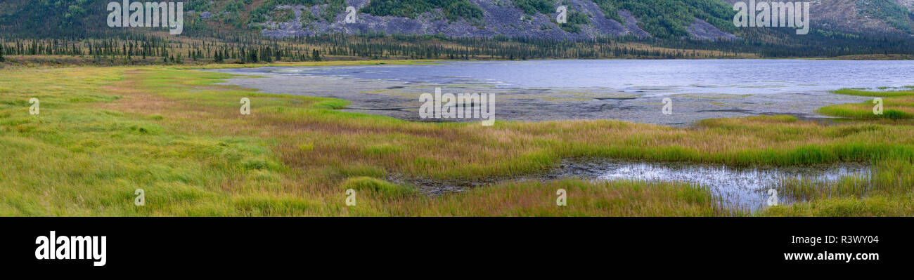 Alaska, Dalton Highway. Panorámica con Grayling Lago. Foto de stock