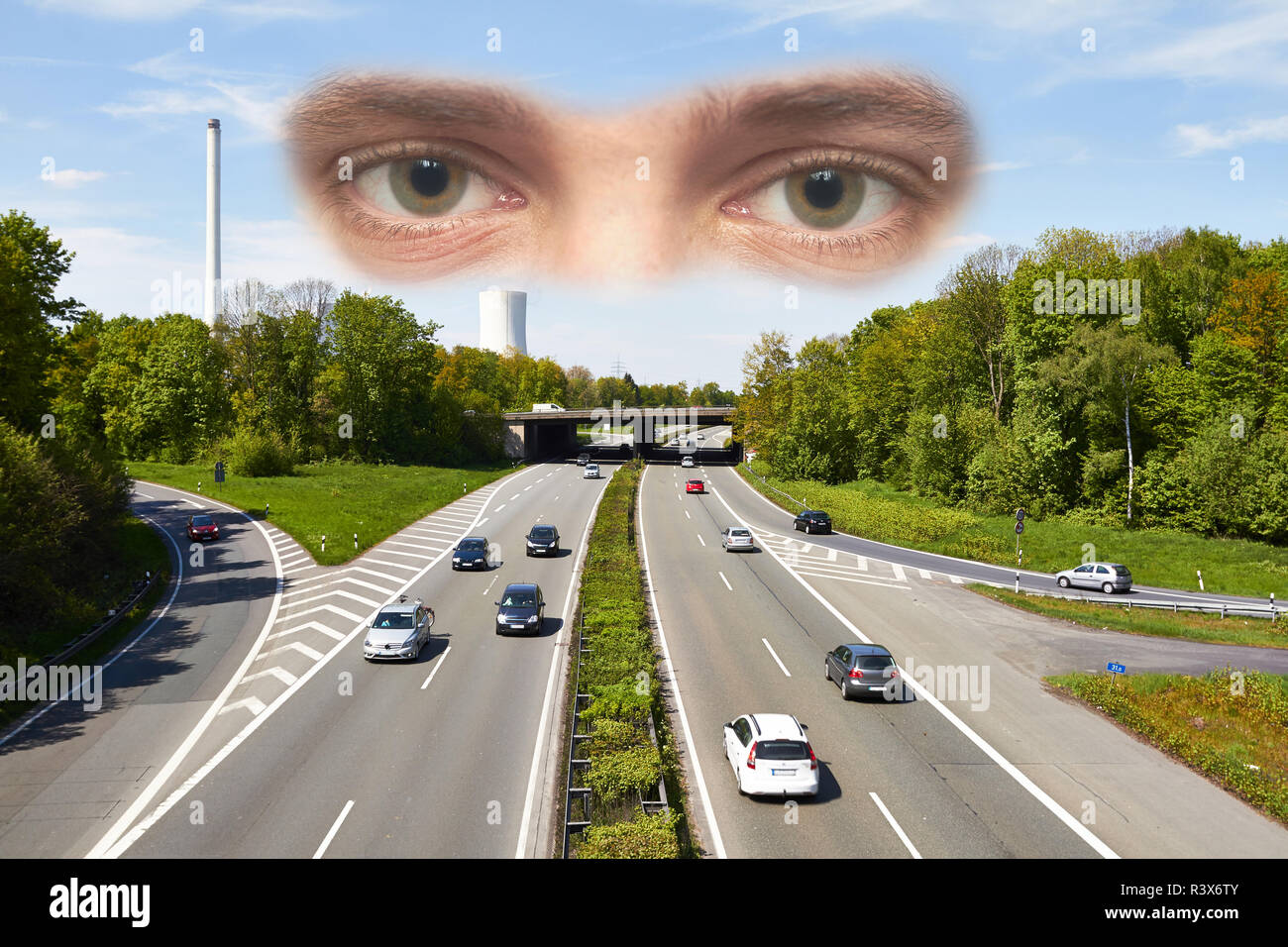 Mirón de primavera fotografías e imágenes de alta resolución - Alamy