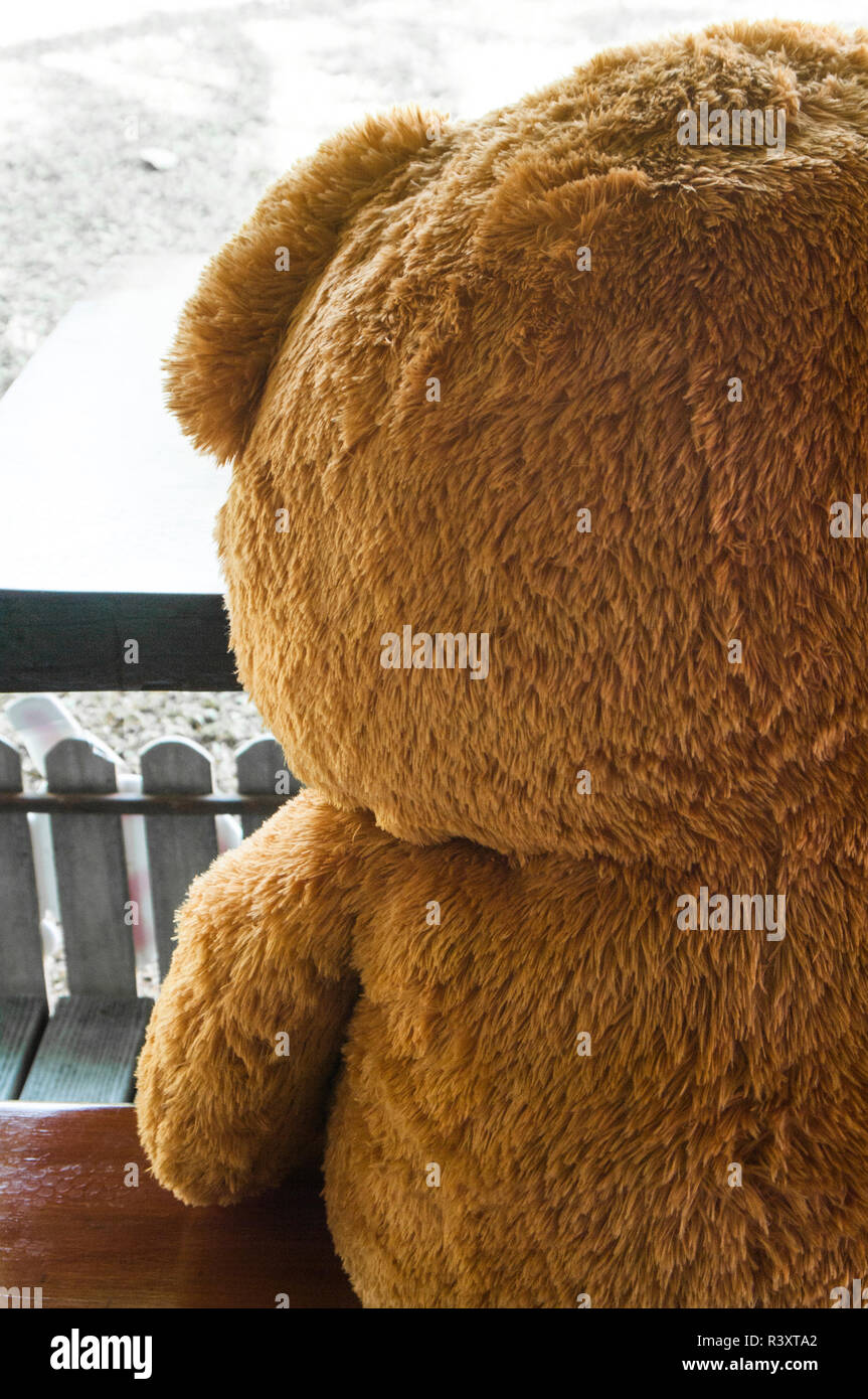 oso de peluche triste