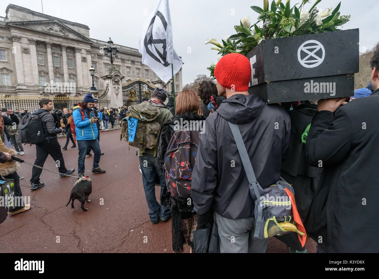 Londres, Reino Unido. El 24 de noviembre de 2018. La Extinción rebelión procesión fúnebre llega a las puertas del Palacio de Buckingham. Gail Bradbrook leer una carta de extinción rebelión a la Reina, pidiéndole que guarde su país y en el mundo, insistiendo en el hecho de que el gobierno tome acción urgente sobre el clima y presionar a otros gobiernos a que también lo hagan, y a los activistas de la rebelión declaración repetida una vez más. Luego vinieron a personas ponen sus coronas, flores y otras cosas que ellos habían traído sobre el ataúd en silencio, después de lo cual hubo música y baile y me fui. Peter Marshall/Alamy Live News Foto de stock
