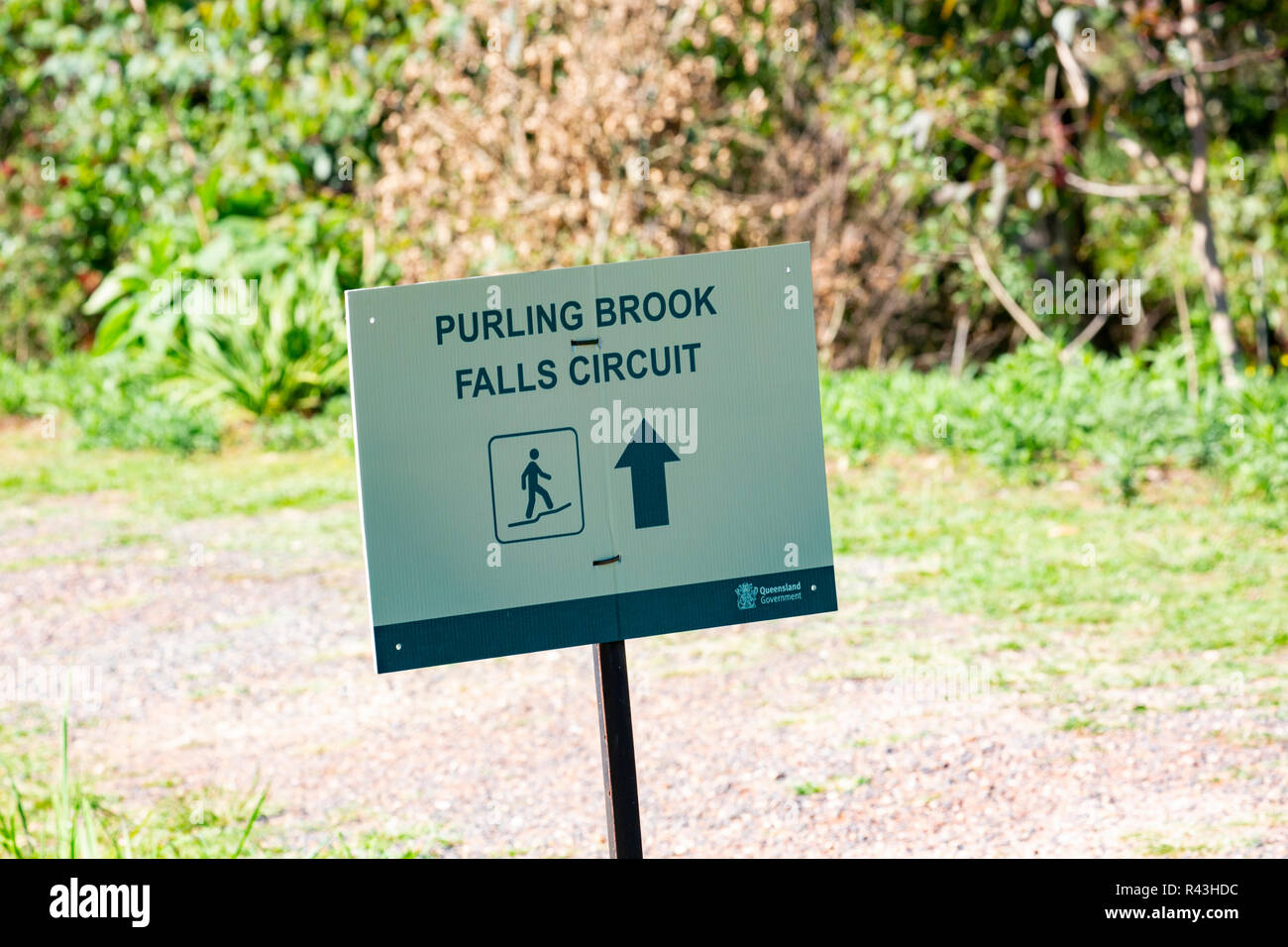 Señal direccional para Purling brook cae del circuito en el Parque Nacional Springbrook, Queensland, Australia Foto de stock