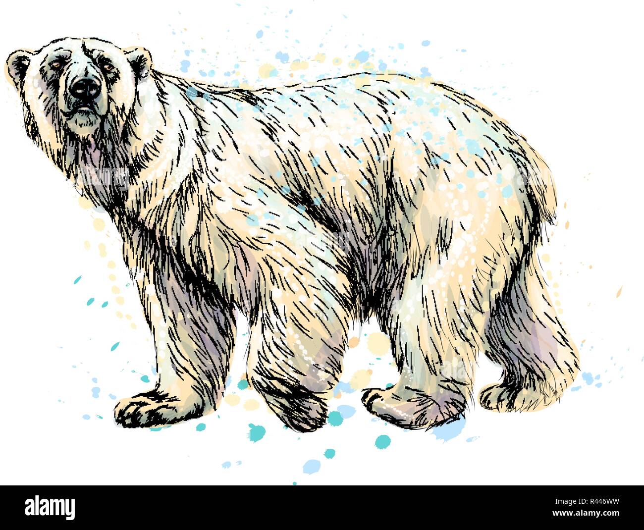 conjunto de lindos animales polares salvajes. colección de fauna del  ártico. lindos personajes de dibujos animados aislados sobre fondo blanco  7658715 Vector en Vecteezy