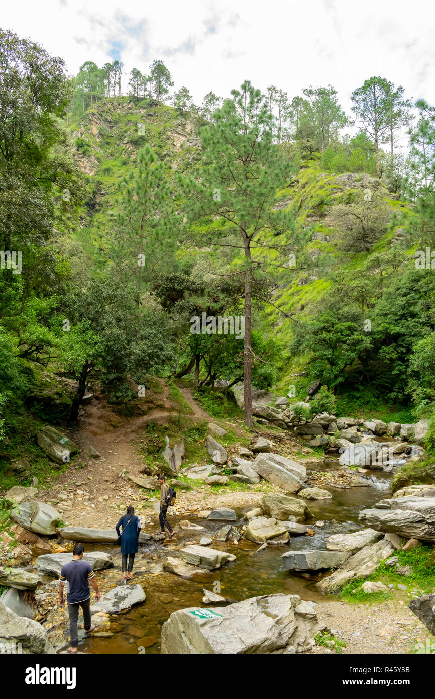 Ruta de serpentina a través del bosque, caminata a la cascada, Gaad Bhalu Mukteshwar Foto de stock