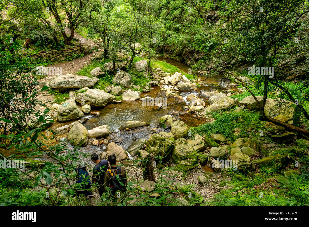 Ruta de serpentina a través del bosque, caminata a la cascada, Gaad Bhalu Mukteshwar Foto de stock