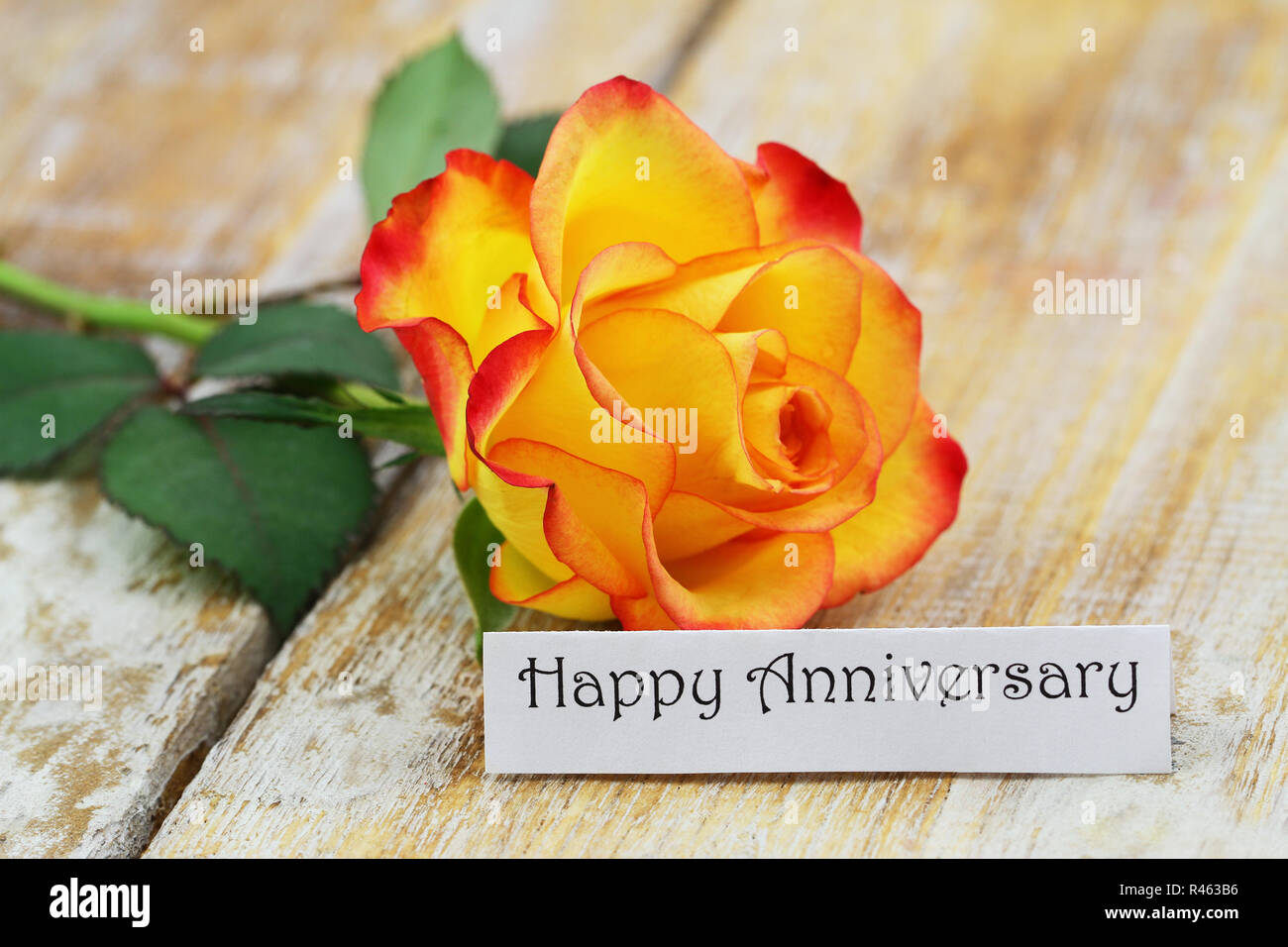 Feliz Aniversario tarjeta con hermosas rosas rojas y amarillas en la superficie rústica Foto de stock