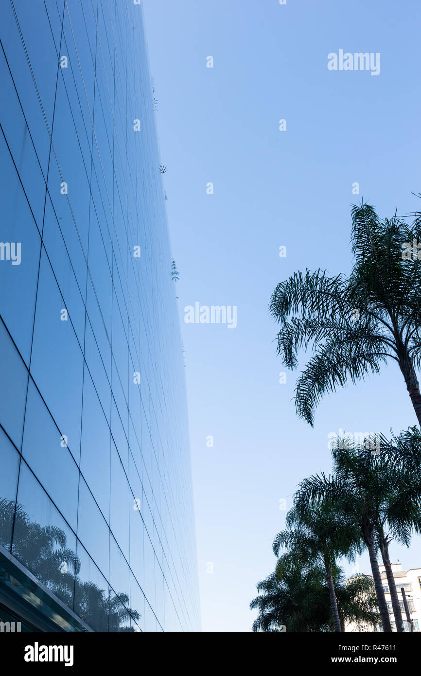 Ángulo de visión baja de una moderna fachada de vidrio con palmeras y el cielo azul de fondo. Foto de stock