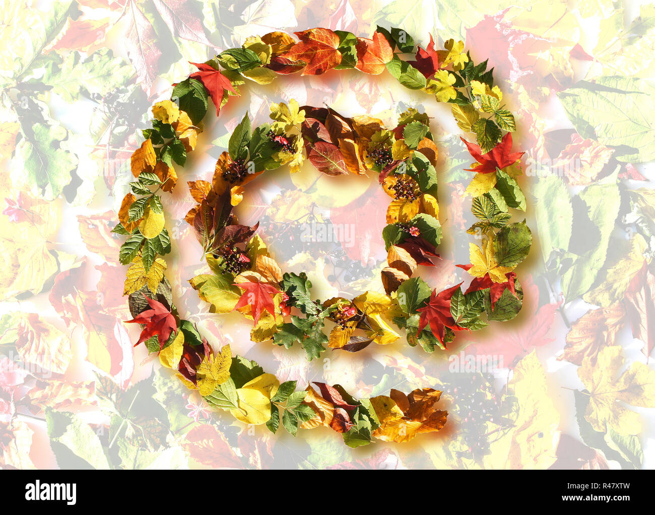 Símbolo del correo electrónico con hojas de otoño sobre el fondo con hojas Foto de stock