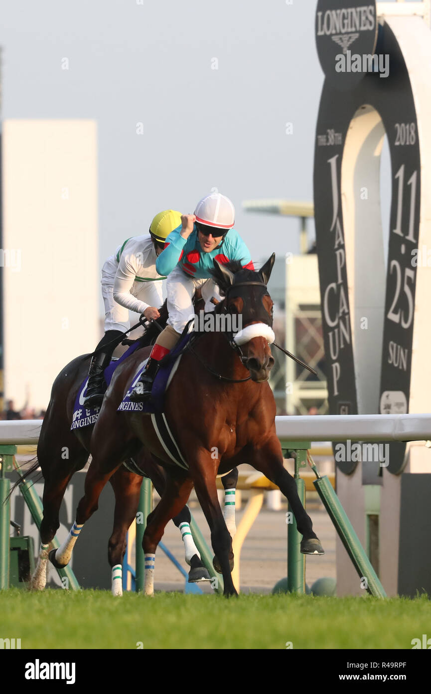 Tokio, Japón. 25 Nov, 2018. Jockey francés Christophe Lemaire equitación  Ojo de Almendra Copa Japón gana la carrera de caballos en el Hipódromo de  Tokio en Tokio el domingo, 25 de noviembre