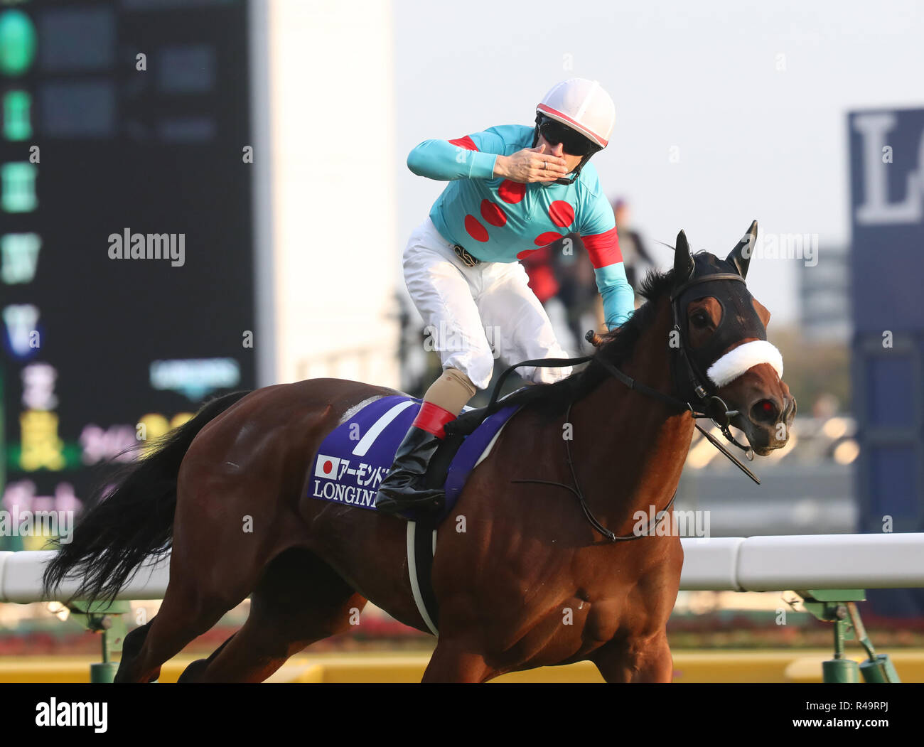 Tokio, Japón. 25 Nov, 2018. Jockey francés Christophe Lemaire equitación  Ojo de Almendra Copa Japón gana la carrera de caballos en el Hipódromo de  Tokio en Tokio el domingo, 25 de noviembre