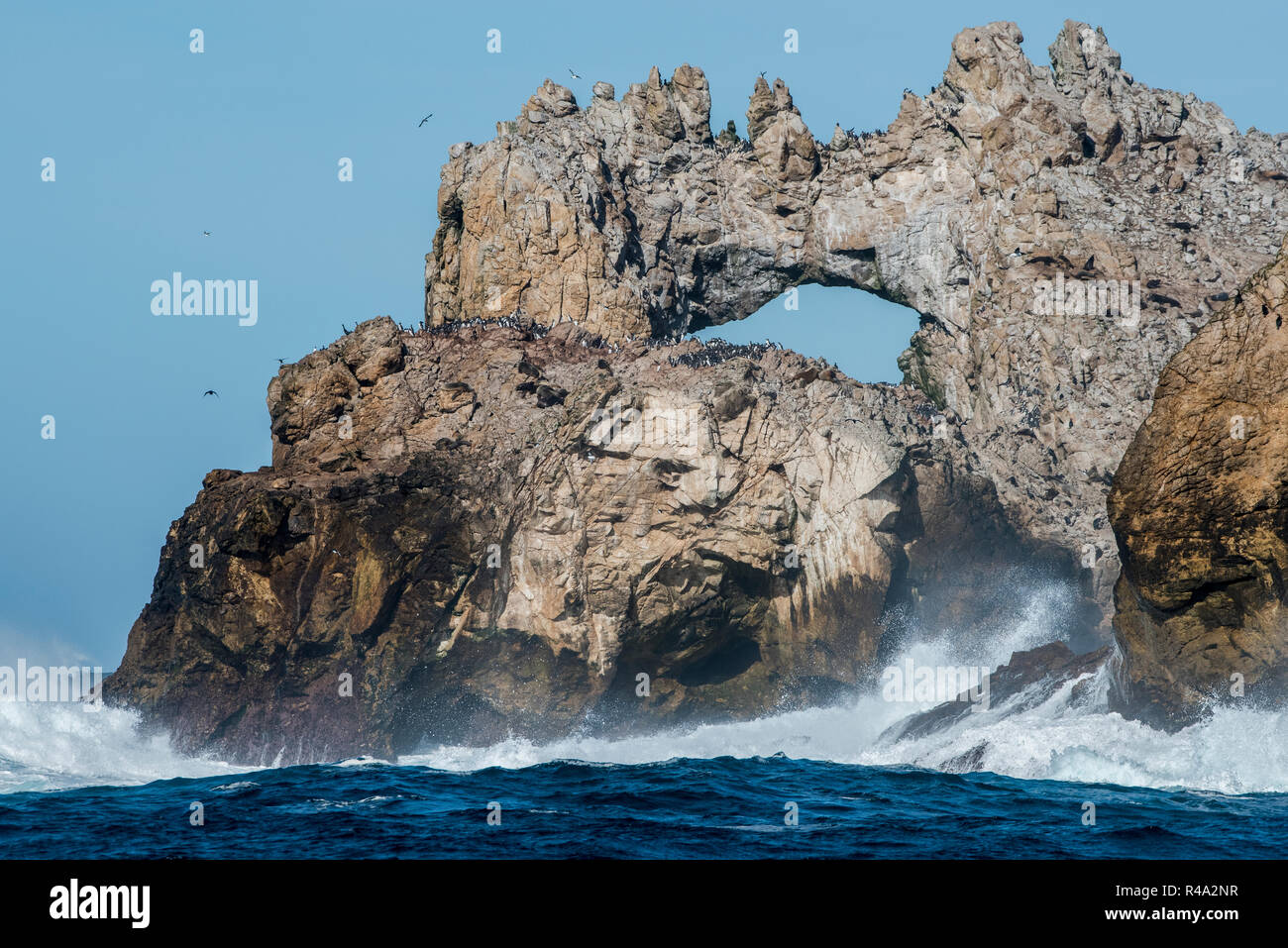Olas rompiendo en las Islas Farallón y un arco de roca natural formada a lo largo de la costa. Foto de stock