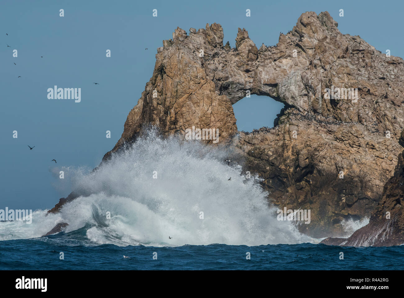 Olas rompiendo en las Islas Farallón y un arco de roca natural formada a lo largo de la costa. Foto de stock