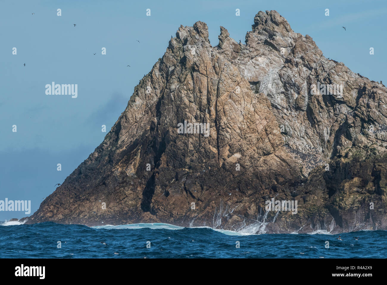 Una isla rocosa sobresale del océano Pacífico, esto es parte de las Islas Farallón, California. Foto de stock