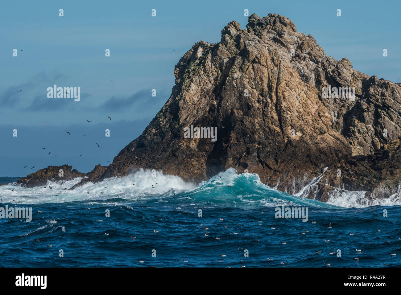 Una isla rocosa sobresale del océano Pacífico, esto es parte de las Islas Farallón, California. Foto de stock