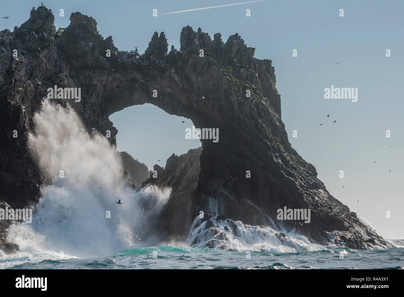 Un arco de roca natural formada en las Islas Farallón, California. Foto de stock