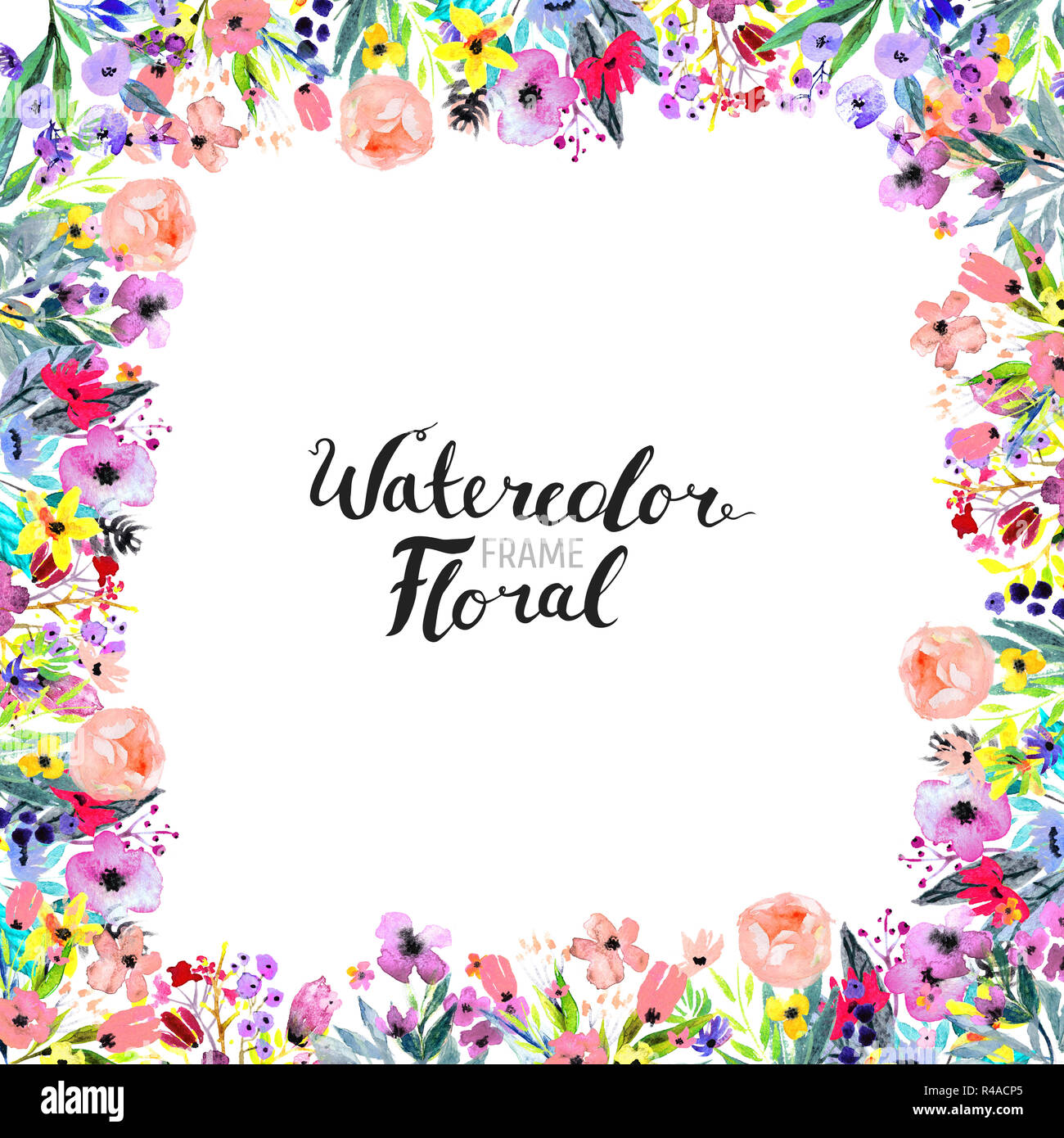 Acuarela fondo floral. Borde de flores pintados a mano. Bueno para invitaciones y tarjetas de felicitación. Fotograma aislado en blanco y pincel de rotulación. Ro Fotografía de stock - Alamy Acuarela fondo floral. Borde de flores pintados a mano. Bueno para invitaciones y tarjetas de felicitación. Fotograma aislado en blanco y pincel de rotulación. Ro Fotografía de stock - Alamy