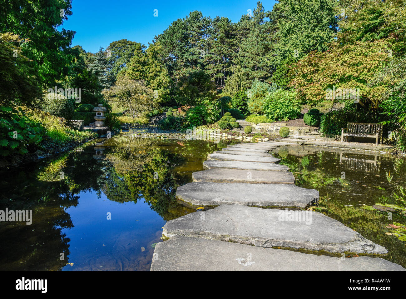 Jardín japonés, estanque, parque público, municipal, de Westfalenpark, Dortmund, districto de Ruhr, Renania del Norte-Westfalia, Alemania Foto de stock