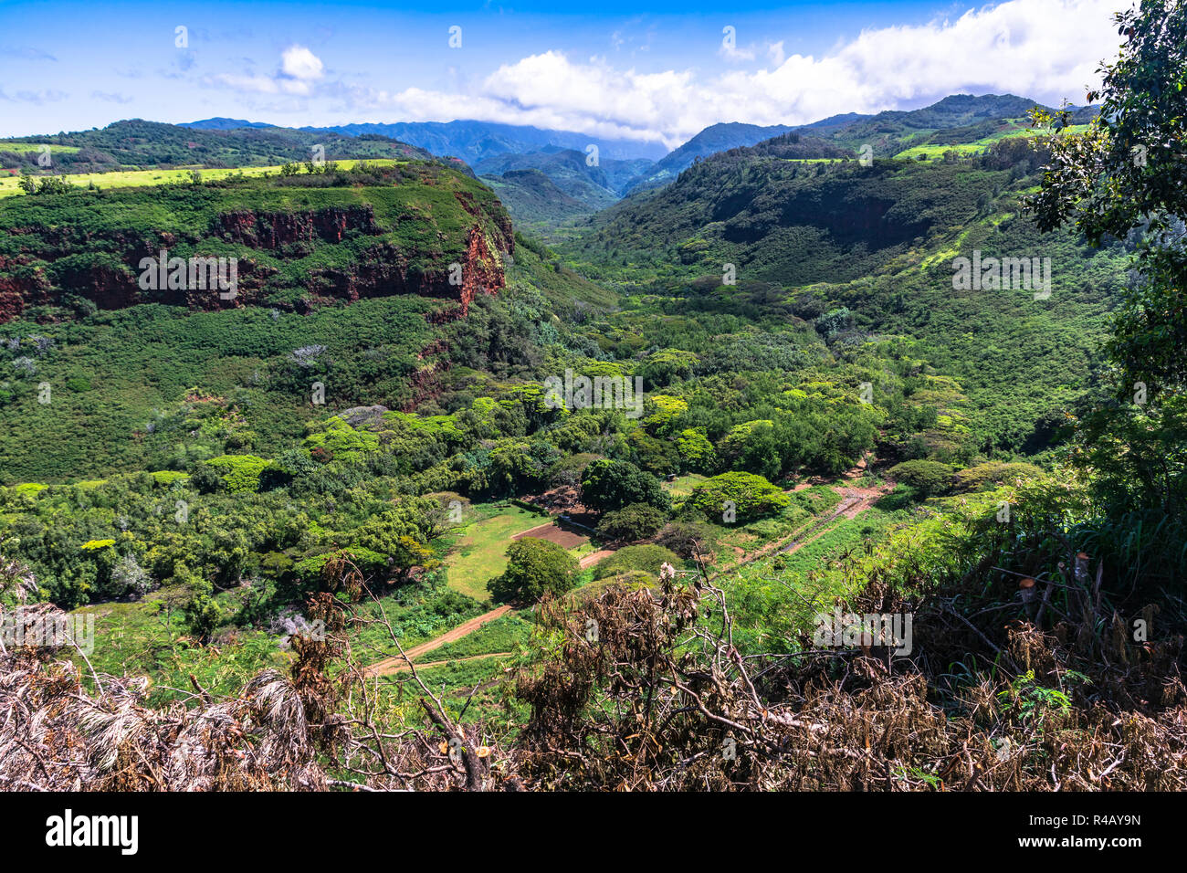 Vistas del valle Hanapepe, Kauai Hawaii Foto de stock