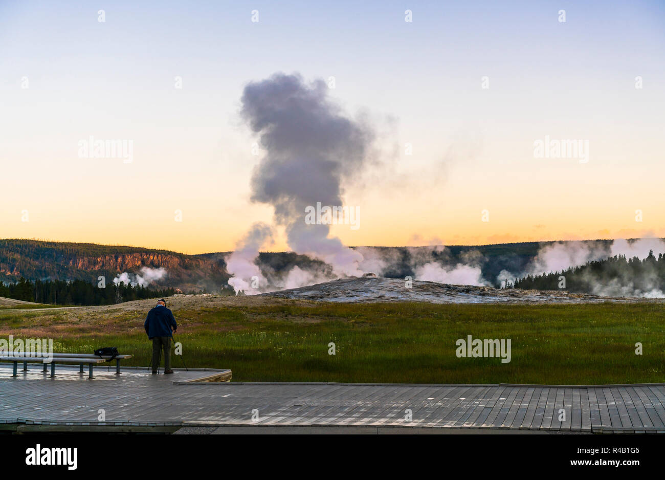 El Viejo Fiel en la mañana,el verano, en el parque nacional de Yellowstone,Estados Unidos. Foto de stock