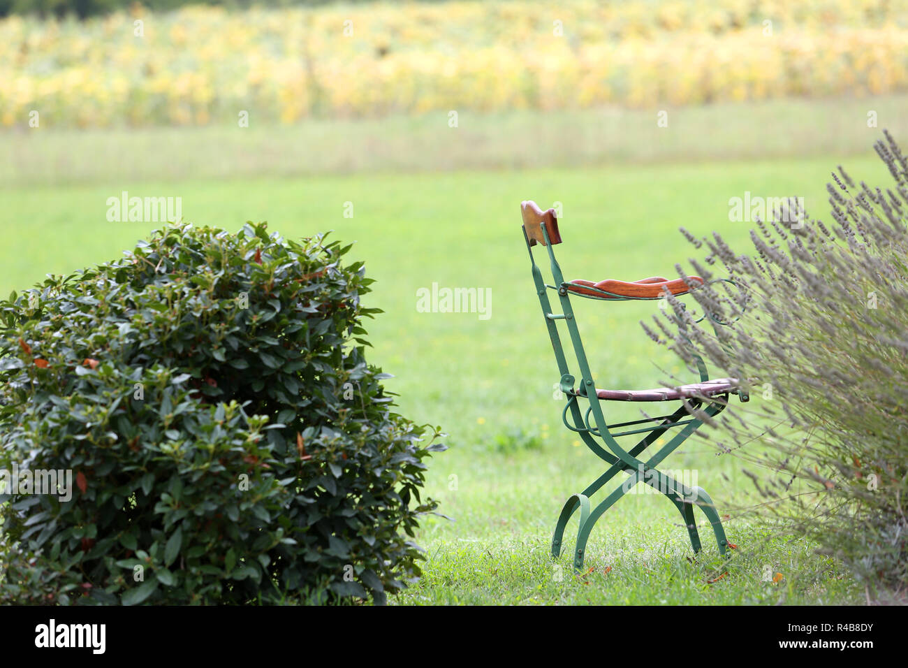 Primer plano de sillas en el jardín Foto de stock