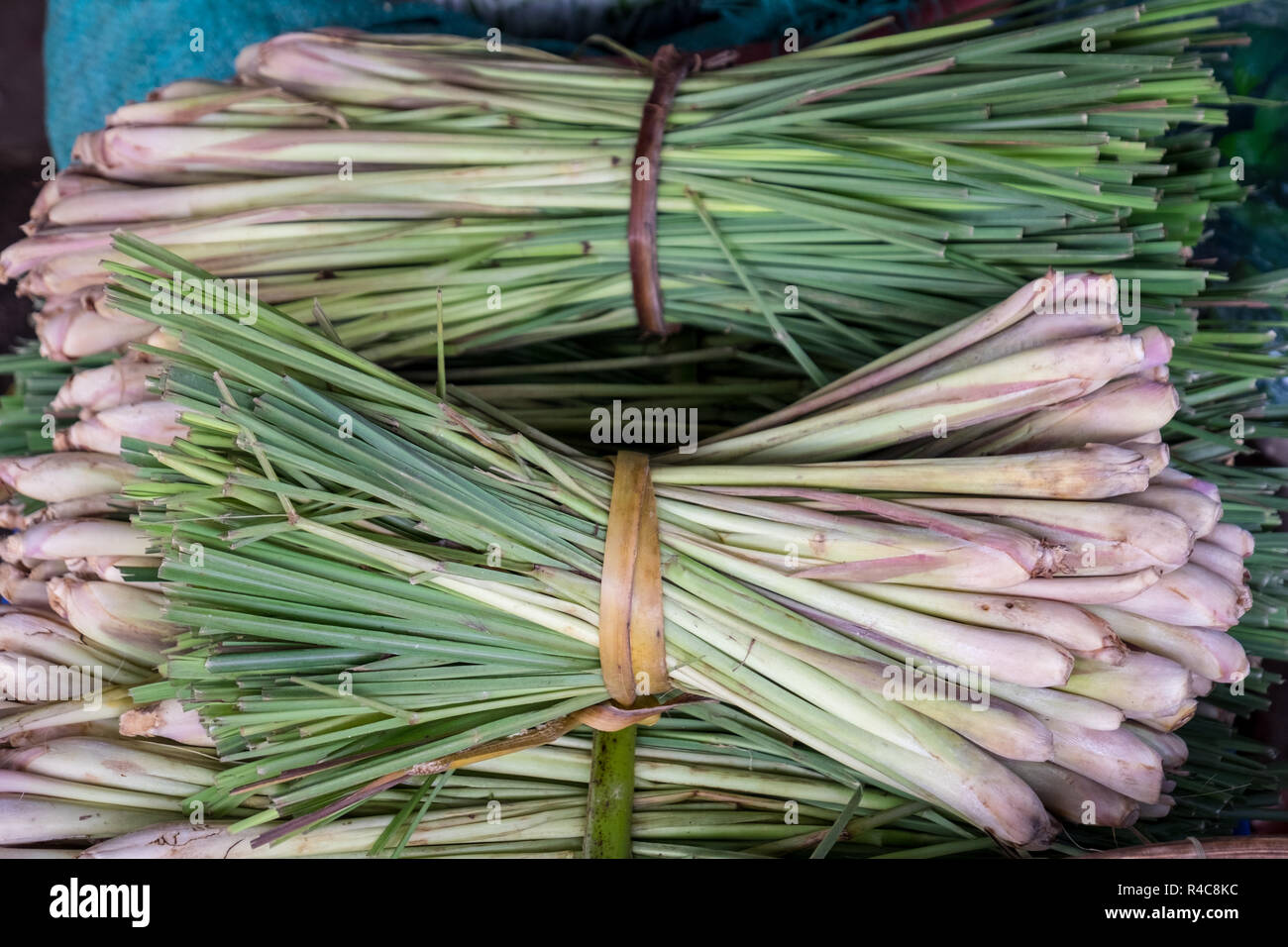 Agrupado lemongrass en exhibición en un establo en el mercado Dong Ba en Hue, Vietnam Foto de stock