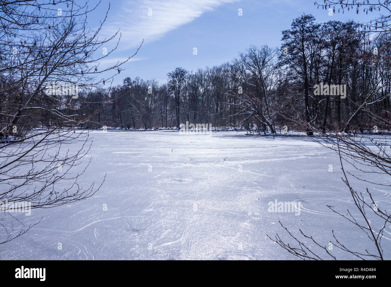 Lago en Berlín Tiergarten. Foto de stock