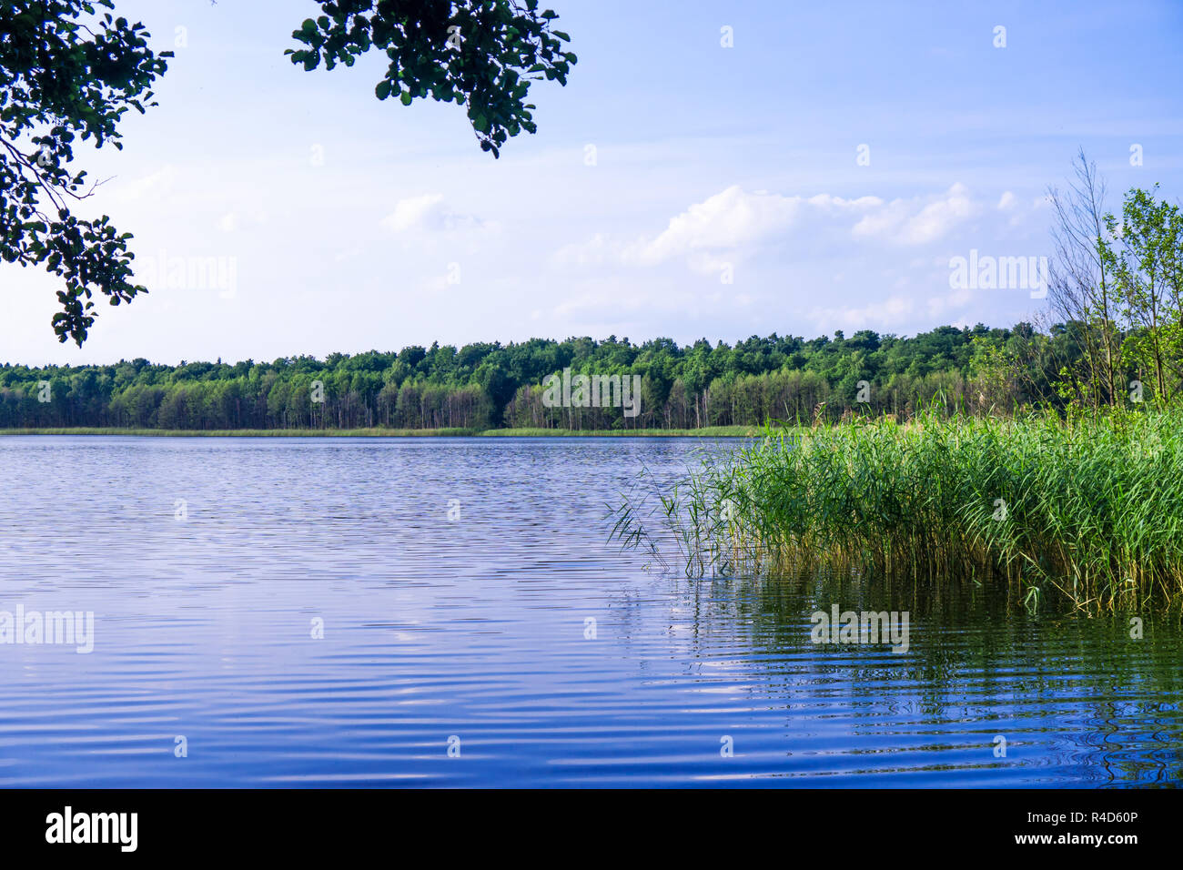 Lago en Brandeburgo Foto de stock