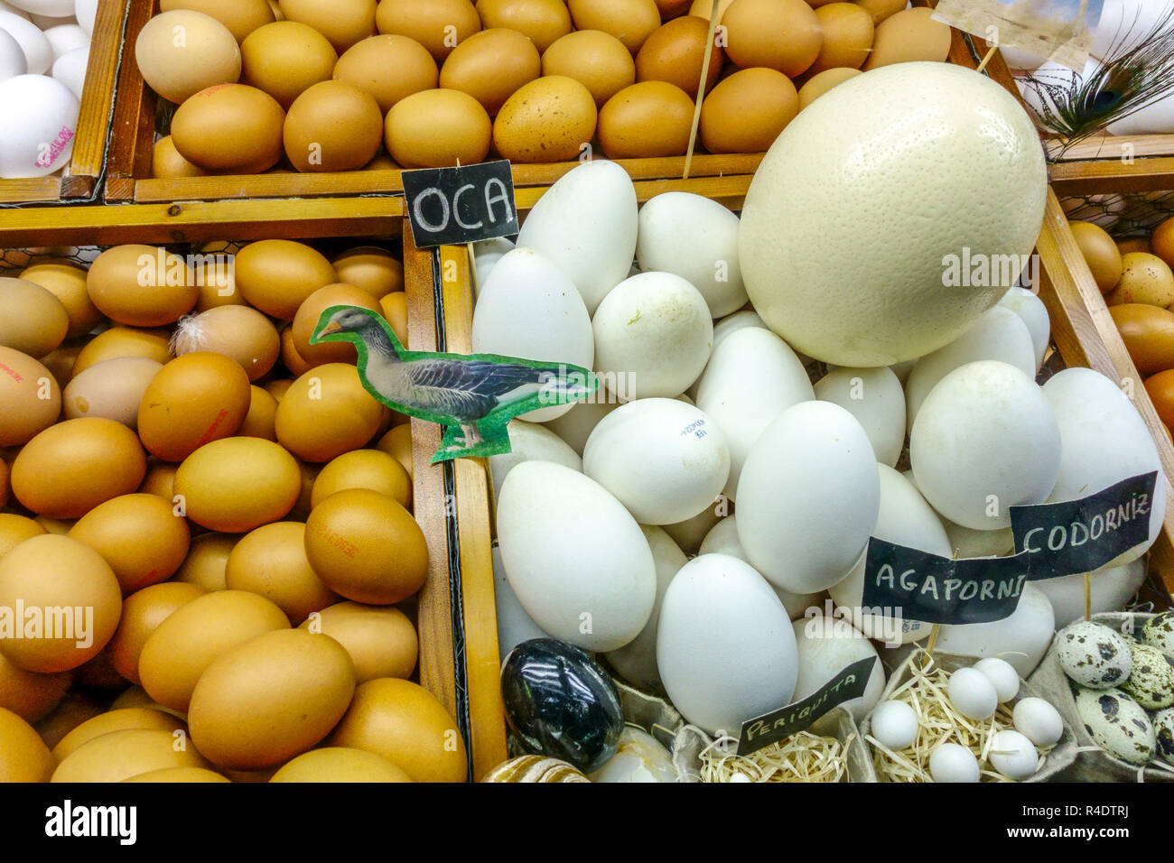 Diferentes tamaños de huevos en el mercado, avestruz, ganso, gallina, huevos de aves Foto de stock