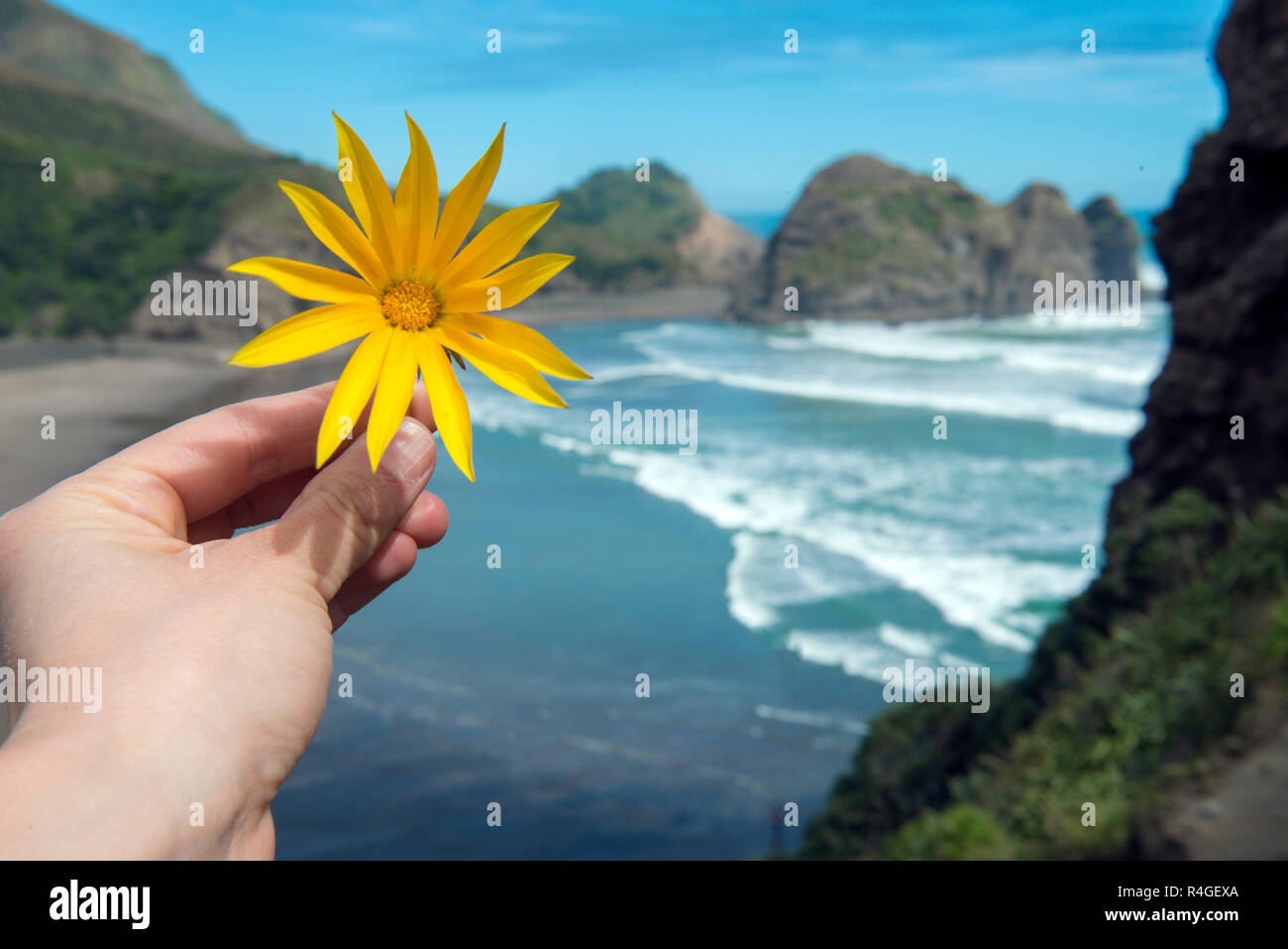 Sosteniendo una flor en la playa. Foto de stock